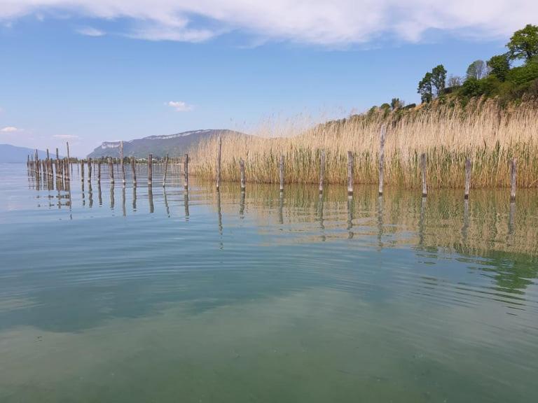 Le Lamartine, Vue Magnifique Face Au Lac Du Bourget Aix-les-Bains Exterior photo